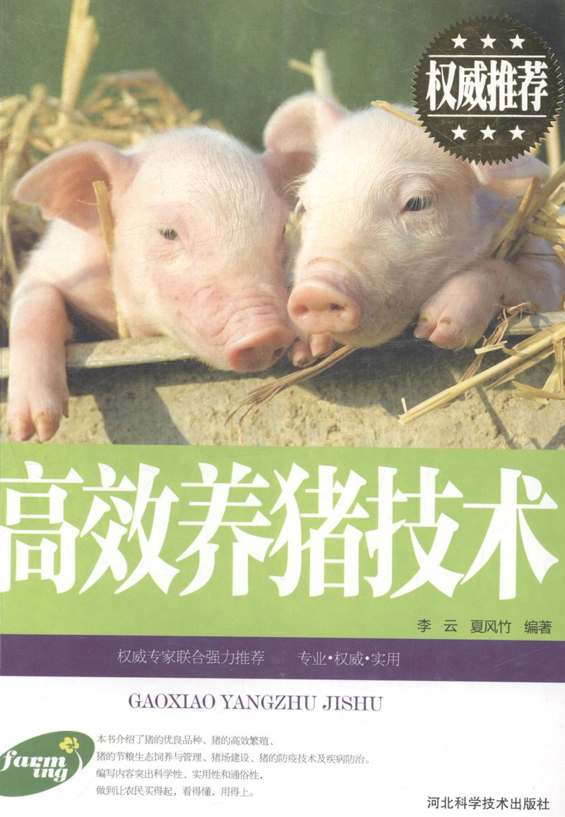 运动服：打造专属风采